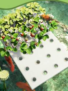 1 Set Hydroponic Germination Kit 24 Pcs Hydroponic Net Pots 24 Pcs Hydroponic Sponge And 1 Pc Hydroponic Planting Board For Soilless Cultivation Garden And Transplanting Plastic Flower Starter Pots Herbs Hydroponic Growing System - A - View 1