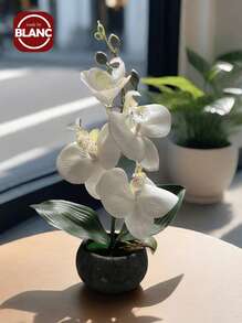 1 chậu hoa lan bướm nhân tạo, ngày lễ tình nhân, quà tặng sinh nhật, tốt nghiệp, trang trí nhà cửa, trang trí phòng học, đồ dùng học tập, cây giả - trắng - Xem 1
