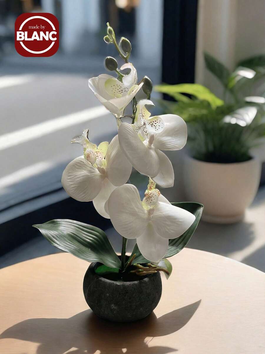 1 chậu hoa lan bướm nhân tạo, ngày lễ tình nhân, quà tặng sinh nhật, tốt nghiệp, trang trí nhà cửa, trang trí phòng học, đồ dùng học tập, cây giả - trắng - Xem 1