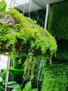 Lumut Buatan, Lumut Hijau Palsu Bionik, Dekorasi Lanskap Mikro, Tanaman Pot Bonsai Rumput, Material Lanskap - lumut - View 1