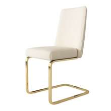 Dining Chairs - Beige + Velvet-1 - View 11