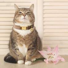 Adjustable Cat Collar With Bell And Quick Release Buckle. Soft And Durable, Available In Multiple Sizes. Safely Identify Your Pet. Fashionable Pet Accessory. High-Quality Metal Hardware. Suitable For Small, Medium And Large Dogs. Zinc Alloy Design For Durability. Easy To Open And Close. Premium Dog Collar. (Actual Delivery May Vary Slightly Due To Differences In Fabric, Batch, And Color.) - Multicolor - View 8