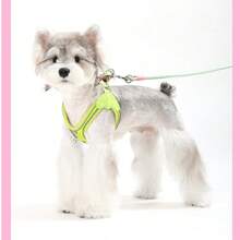 Neue weiche & leichte Einstieg-Hundegeschirr, atmungsaktiver Mesh-Brustgurt mit reflektierender Sicherheit, praktisch für das Spazierengehen von kleinen Hunden & Katzen Outdoor - Verschiedenfarbig - Übersicht 9