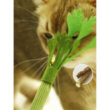 1pc Pesian Cat Mint Toy, Scallion, Cilantro, Carrot Cat Toy, Realistic Vegetable Chew Toy For Self-Play And Teeth Grinding, Pet Toy - Multicolor - View 10