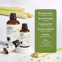 EVOKE OCCU 清爽柠檬草精油，纯天然植物精油，适用于DIY蜡烛、肥皂、洗发水、家居香氛扩香器、沐浴 - 100毫升/30毫升/10毫升 - lemongrass - 查看 2
