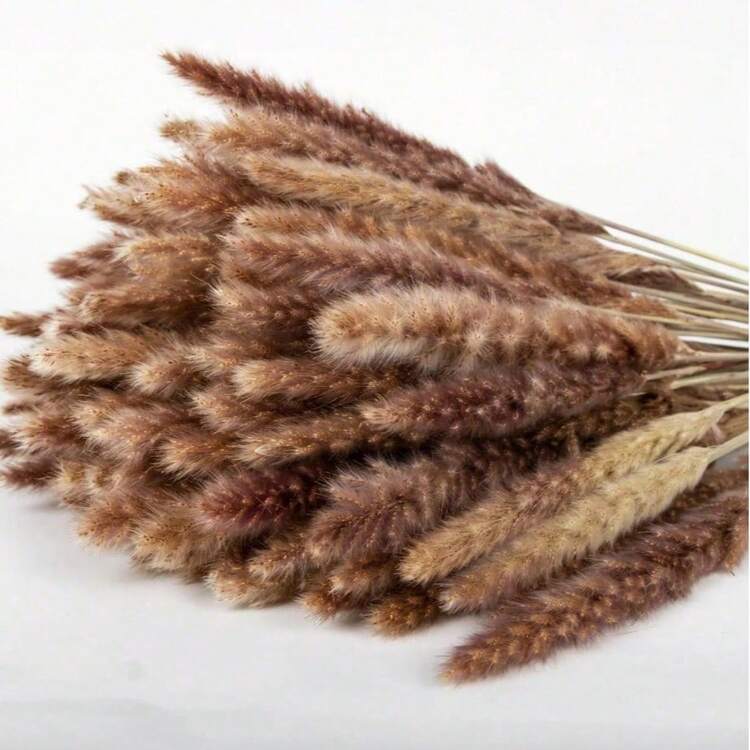 15/30/45/60 根白色小芦苇，约 17 英寸/45 厘米，天然干燥芦苇枝装饰，适用于家居、厨房、花园、派对、家居装饰和礼品，波西米亚风格，DIY 插花，摄影道具 - 卡其 - 查看 5