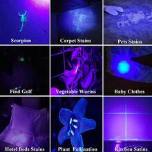 Linterna UV Ultravioleta 12 LED Luz Púrpura Linterna Detector de Moneda UV Luz para Escorpiones - Linterna de luz violeta - Ver 6