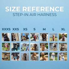 Stepin Air Dog Harness All Weather Mesh, Step In Vest Harness For Small And Medium Dogs By ... - SChest14516HarnessBa - View 7