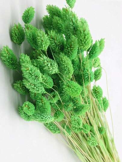 20/50/100pcs Gem Grass Dried Flowers, Multicolor Options, For Home Decor, Vase Decor, DIY Bouquets, Cake Decoration