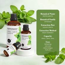 EVOKE OCCU Premium Peppermint Essential Oil For Cleansing Purifing Air Massage Diffuser Facial Body& Nails Care Candles Soap Making DIY Perfume-100mL/30mL/10mL - Peppermint - View 2