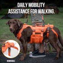 zxxOneTigris Arnes de Soporte para Perros Grandes - Arnes de Cadera con Asas Caleco Multifuncional de stencia para Molidad y Soporte de Patas Traserasperro trepa escalera - Naranja - Ver 5