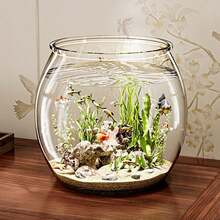 Round Fish Tank Clear Beta Fish Aquariums Home Decoration Compact Aquatic Animal Container For Ornamental Fish Tabletop Tank - Multicolor - View 6