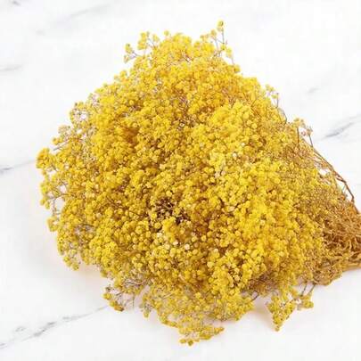 2000+枝天然干满天星花束 - 16英寸象牙白永生真花花束，多色永生鲜花花束，花瓶填充枝，适用于婚礼装饰、桌面摆件、家居装饰、DIY花艺制作