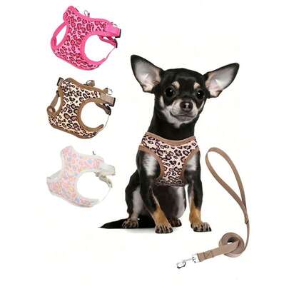 豹纹宠物猫狗胸背带牵引绳套装，采用透气网布制成，包含1.5米牵引绳，适合小型/中型犬猫，尺寸可调节，带有夜间反光条纹，有玫瑰豹纹和棕色豹纹两种颜色可选。