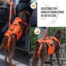 zxxOneTigris Arnes de Soporte para Perros Grandes - Arnes de Cadera con Asas Caleco Multifuncional de stencia para Molidad y Soporte de Patas Traserasperro trepa escalera - Naranja - Ver 3