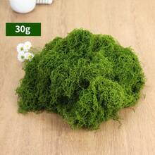 1包100克人造苔藓，仿真苔藓，适用于家居装饰、微缩景观、草坪微景观、盆栽植物和景观装饰，也适用于情人节、婚礼、生日派对装饰。 - 仿真苔蘚 - 查看 13