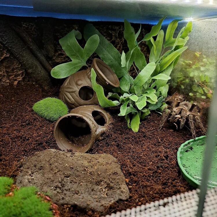 Variety Of Ceramic Fish & Shrimp Tunnel Decorations For Aquarium, Clay Pipe Shrimp Cave, Fish & Shrimp Feeding Tube, Aquarium Decor Hideaway Pipe - A - View 3