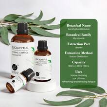 EVOKE OCCU Eucalyptus Essential Oil, Fresh Herbal Scent, 100mL/30mL/10mL For Relaxing Cleaning Diffuser Purifier Humidifier Skin Care Spa Candle Soap Making Hair Care Massage - Eucalyptus - View 2