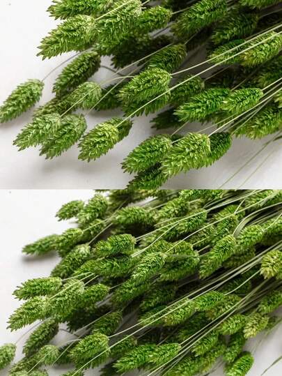 25/50/100pcs Gem Grass Dried Flowers, Assorted Colors, For Home Decor, Vase Decoration, DIY Bouquets, Cake Decoration