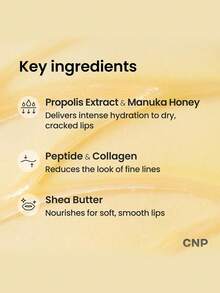 CNP 蜂蜜润唇膏 - 蜂胶 Lipcerin™ 01 原味，夜间唇膜及保湿霜，12 小时保湿，圣诞礼物，女士礼物，15ml，韩国美妆 - 15ml - 查看 6