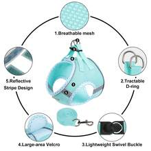 2pcs Dog Harness, Soft Breathable Pet Vest Harness For Small/Medium Dogs And Cats - Multicolor - View 5