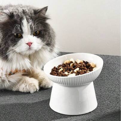 加高猫粮碗，陶瓷加高倾斜水碗，防止室内猫胡须疲劳，防呕吐保护脊椎，适用于幼猫和小型犬，带厚重防滑底座