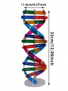 Kit de modelo de hélice de ADN humano DIY - Herramienta de experimento científico biológico, sin electricidad - color - Ver 6