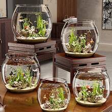 Round Fish Tank Clear Beta Fish Aquariums Home Decoration Compact Aquatic Animal Container For Ornamental Fish Tabletop Tank - Multicolor - View 4