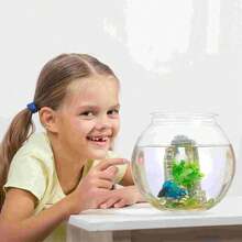Round Fish Tank Clear Beta Fish Aquariums Home Decoration Compact Aquatic Animal Container For Ornamental Fish Tabletop Tank - Multicolor - View 8
