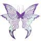 Morado