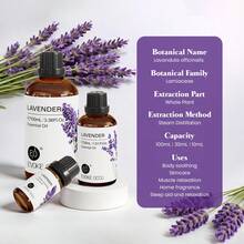 EVOKE OCCU薰衣草精油，100毫升/30毫升/10毫升装，优质薰衣草精油，有助于睡眠、缓解压力，可用于芳香疗法、空气净化、护肤、按摩、蜡烛和肥皂制作。 - lavender - 查看 2