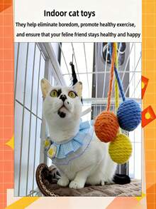 3件套高品质互动猫鸟玩具 - 逼真鸣叫羽毛玩具，适合室内猫咪/幼猫 | 可悬挂于门框的踢腿玩具，缓解无聊，促进运动 - 彩色 - 查看 6