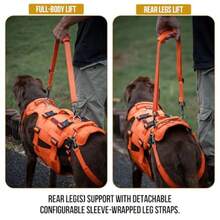 zxxOneTigris Arnes de Soporte para Perros Grandes - Arnes de Cadera con Asas Caleco Multifuncional de stencia para Molidad y Soporte de Patas Traserasperro trepa escalera - Naranja - Ver 4