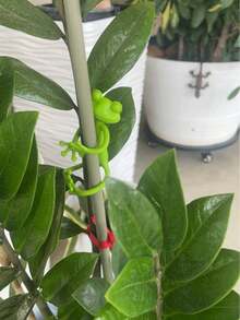 2个创意青蛙植物支架，趣味绿色青蛙植物托架，青蛙固定植物架，青蛙支撑架，适用于园艺/盆栽植物/植物装饰 - 綠色 - 查看 3