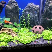 各种陶瓷鱼虾隧道装饰品，适用于水族箱，包括陶土管虾洞、鱼虾喂食管和水族箱装饰躲藏管道。 - A - 查看 2