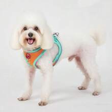 Spring & Summer New Dopamine Color Block Dog Harness, Cute Cat & Dog Leash Harness, Reflective Breathable Mesh Vest Harness Suitable For Small & Medium Dogs - Green - View 3