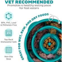 Outward Hound Fun Feeder Slo Bowl – Medium 2‑Cup Capacity, Slow Feeding, Small To Medium Dogs & Cats, Non-Slip, Turquoise, Drop Pattern - Turquoise-medium - View 3