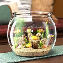 Round Fish Tank Clear Beta Fish Aquariums Home Decoration Compact Aquatic Animal Container For Ornamental Fish Tabletop Tank - Multicolor - View 7