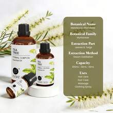 EVOKE OCCU 茶树精油，纯天然茶树精油，适用于护发、头皮按摩、身体香薰、空气净化、蜡烛和肥皂制作，添加到洗发水和护发素中可增加头发光泽 - 100毫升/30毫升/10毫升 - Tea tree - 查看 2