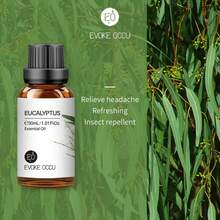 EVOKE OCCU Eucalyptus Essential Oil, Fresh Herbal Scent, 100mL/30mL/10mL For Relaxing Cleaning Diffuser Purifier Humidifier Skin Care Spa Candle Soap Making Hair Care Massage - Eucalyptus - View 9