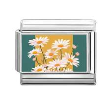 1件DIY照片模块化手链，饰有花朵、风景、五角星、心形元素，适合作为派对礼物送给朋友/情侣，适合圣诞节、新年、万圣节、情人节等节日。 - M292842 - 查看 17