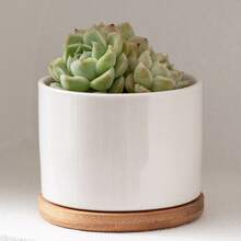 Ceramic Garden Planter Pots Ceramic Plant Pots With Drainage Holes Design For Windowsills Shelves Gardens And Patios - A - View 5