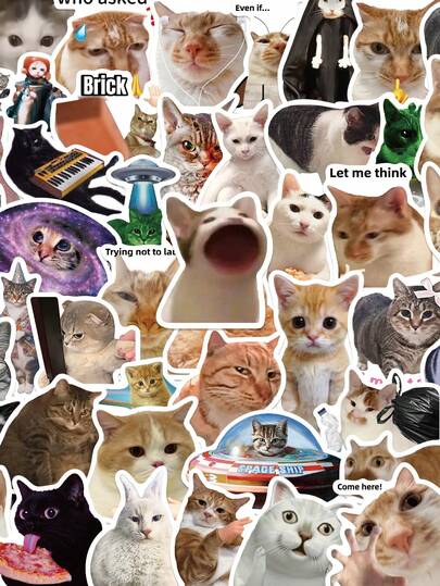 50 sztuk naklejek z zabawnym humorem i kotem, kreatywna, modna naklejka do albumu ze zdjęciami, gitara, deskorolka, etui na telefon, naklejka dekoracyjna z PVC, prezent na imprezę, nadruk HD (niełatwo odpada)