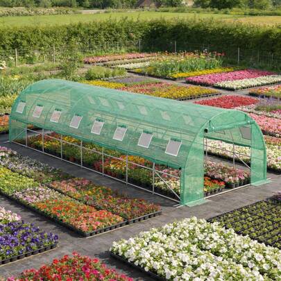 LILIIN Greenhouse Polytunnel 3 X 2/4/6/8 X 2 M, Tomato House With Galvanized Steel Frame, Polytunnel Greenhouse With Windows & Zippered Doors, Garden Greenhouse For Vegetables & Plants, Green
