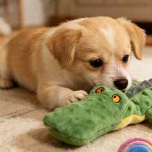 Đồ chơi chó cỡ lớn có tiếng kêu, đồ chơi tương tác cho chó con với giấy nhăn, đồ chơi kéo co cho chó, đồ chơi nhai bằng vải nhung phù hợp cho các giống chó nhỏ, trung bình và lớn. - màu xanh lá - Xem 3