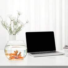 Round Fish Tank Clear Beta Fish Aquariums Home Decoration Compact Aquatic Animal Container For Ornamental Fish Tabletop Tank - Multicolor - View 10