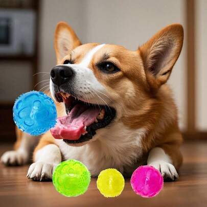 宠物狗吱吱叫、弹跳、益智球清洁、磨牙、玩具训练、陪伴小型和中型犬、互动玩具、伴侣玩具、狗玩具