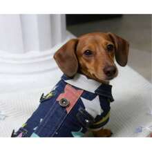 1pc Pet Clothes, Star Denim Effect Shirt, Colorful Star Denim Effect, Casual Stylish Fashion, Personalized, Suitable For Medium/Small Dogs Like Teddy, Poodle, Corgi, Dachshund, Anti-Shedding, Unique Design - Blue - View 7