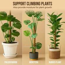 柔軟苔蘚椰殼攀爬桿 植物攀爬支撐 延長桿 棕櫚藤 適用於室內陽台花園庭院花卉裝飾 - 1Pc - 查看 5