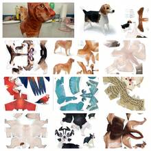 2026 New 20 Animal 3D Origami Model Kit - Student Creative Printable Handmade Paper Art (Cat/Dog/Pig Etc.), Desktop Pet Modeling Set, Cute Handmade Gift - Holiday Gift, Creative Surprise, Perfect Gift - Multicolor - View 11